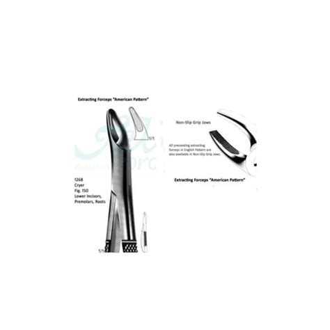 Cryer American Lower Incisors Premolars Roots Fig 150 Relpro