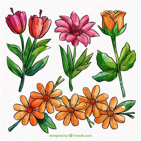 Colecci N De Flores Coloridas En Estilo Acuarela Vector Gratis