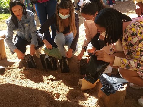 Curso de produção de mudas está inscrições abertas em Montes Claros