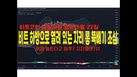 5월 22일 비트코인 일일시황 비트 하방으로 열려있는 자리 롱 뚝배기 조심해라 마코 리플 이더리움 마동석코인