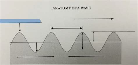 Anatomy Of A Wave Flashcards Quizlet