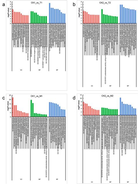 Gene Ontology Go Classifications Of Differentially Expressed Genes