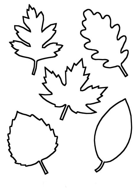 Autumn Leaves Template Fall Leaf Template Leaf Template Leaf