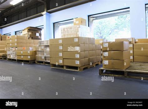 Cardboard Boxes On Wooden Pallets Arranged Against The Wall In A