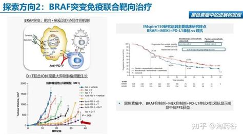 Braf V600e突变非小细胞肺癌全程管理 知乎