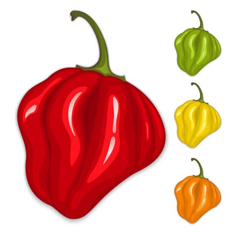 Habanero Illustrations Royalty Free Vector Graphics And Clip Art Istock