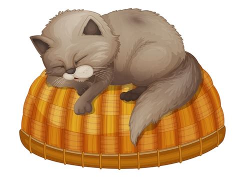 Premium Vector Cat Sleeping