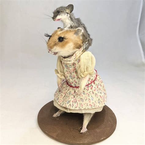 Taxidermy Hamster And Mouse Hamster Mom With Baby Mouse Etsy