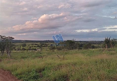 Fazendas à venda na Zona Rural em Santa Bárbara Chaves na Mão