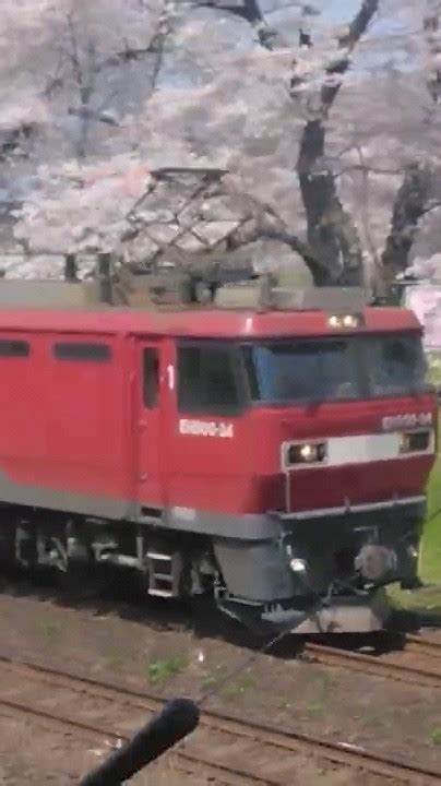 一目千本桜でeh500形金太郎貨物列車高速通過！ Youtube