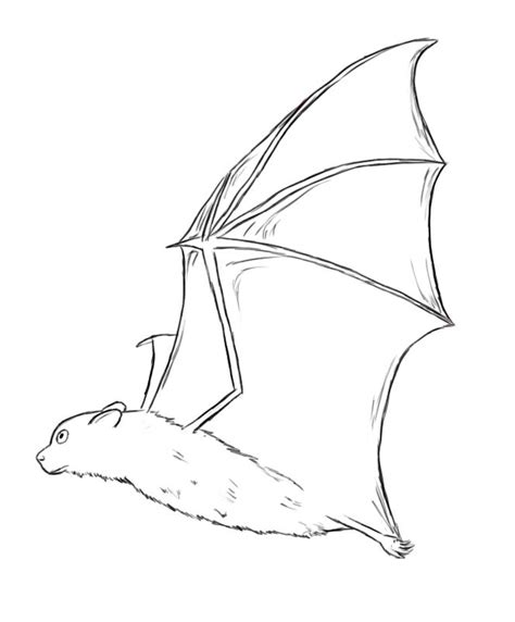 Bat Drawing Outline at PaintingValley.com | Explore collection of Bat ...