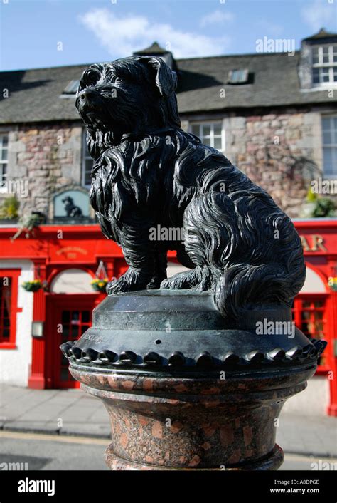 Greyfriars Bobby Skye Terrier Edinburgh Scotland Uk Europe Stock Photo