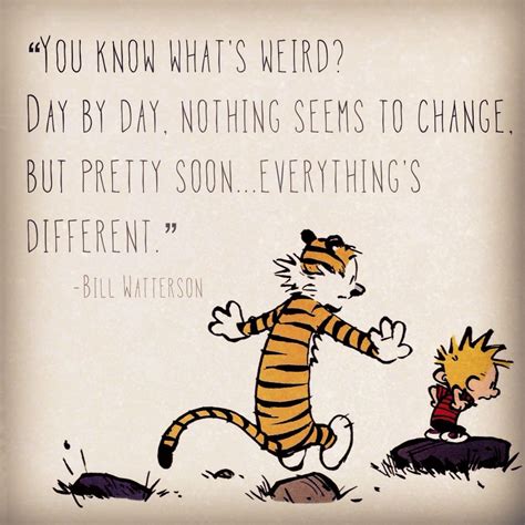 Greatest Calvin And Hobbes Quotes QuotesGram Calvin And Hobbes