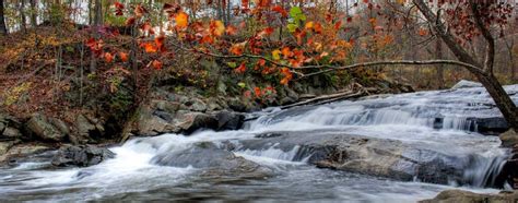 Navigating The Patapsco River A Comprehensive Guide Interactive D