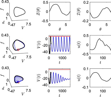 Yni Model For Cardiac Pacemaker Cells Top Row Shows The Uncontrolled