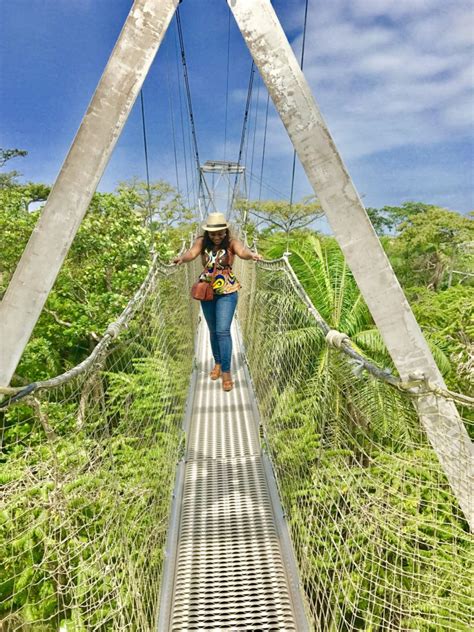 Lekki Conservation Centre: Experience the Longest Canopy Walkway in Africa - The Wakaholic