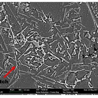 C Micrograph Of Al Si Tib Sc Sr Composites Alloy Observed By Fesem