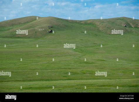 Incredible Mongolian Manchurian Grassland Stock Photo Alamy