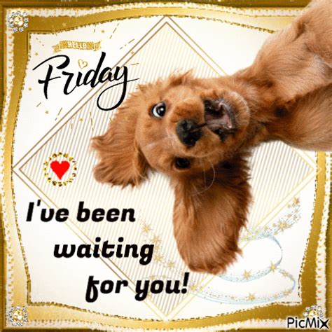 Hello Friday I Ve Been Waiting For You Pictures Photos And Images