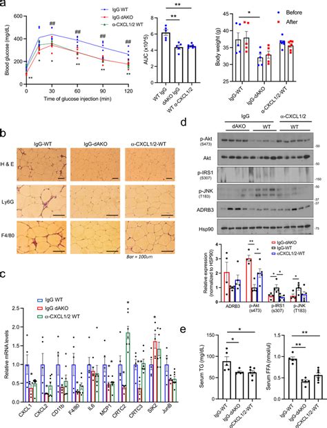 Immuno Depletion Of Cxcl Protects Against Hfd Induced Immune Cell