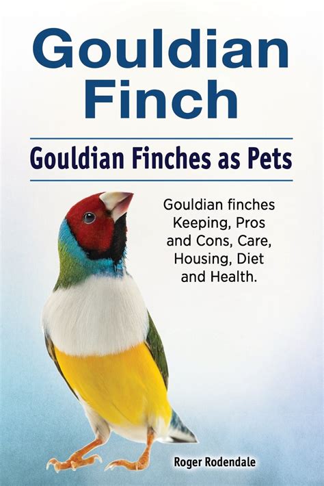 Gouldian Finch Gouldian Finches As Pets Gouldian Finches Keeping