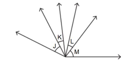 Adjacent Angles