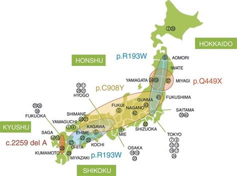 Geographical distribution of 43 Japanese patients with USS and their... | Download Scientific ...