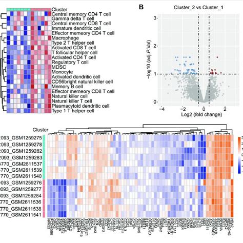 Identification Of Degs Between The Two Immune Related Clusters A Download Scientific