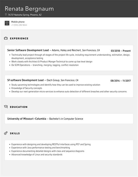 Software Development Lead Resume Samples Velvet Jobs