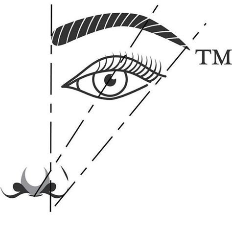 How To Get Mathematically Perfect Brows By Anastasia Beverly Hills Dazed