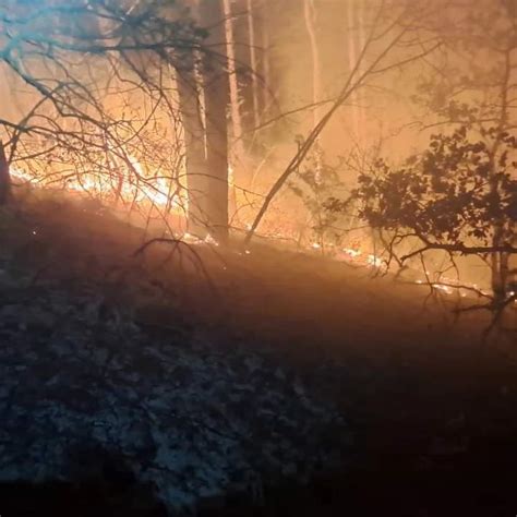 Treći noćni požar na istom mjestu u Crikvenici Tunera info