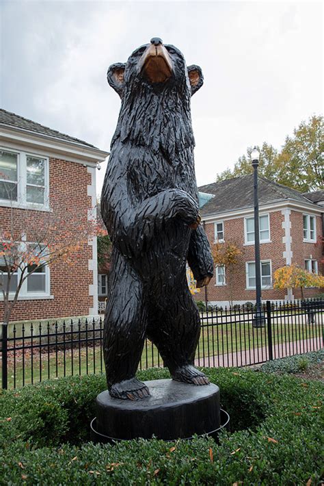 Uca Bear Encyclopedia Of Arkansas