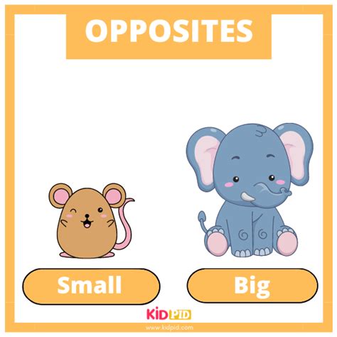 Learn Opposite Words Kidpid