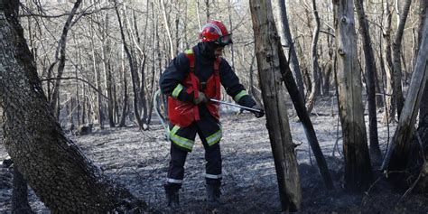 Incendies En Bretagne Les Feux Sont Fixés Plus De 300 Hectares Ont Brûlé