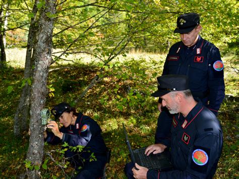 Carabinieri Forestali Parco Nazionale Del Gran Sasso E Monti Della Laga