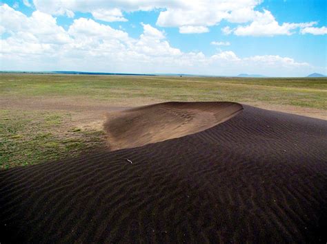 Shifting Sand In Ngorongoro Ngorongoro Area Shifting Sand