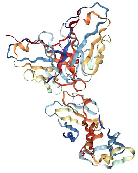 CD3 delta/CD3D Protein Overview | Sino Biological