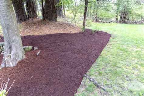 Mulching Garden Tutor