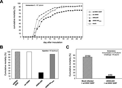 Essential Role Of The NV Protein Of Novirhabdovirus For Pathogenicity