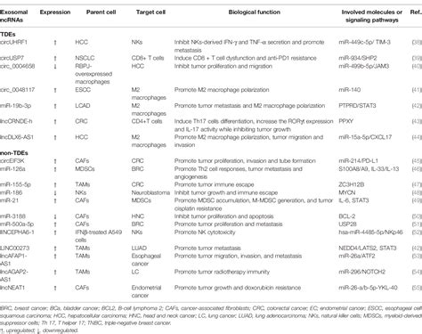 Table From Crosstalk Of Exosomal Non Coding Rnas In The Tumor