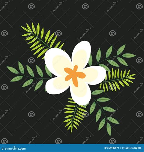 Beautiful Plumeria White and Yellow Flower Vector Art, Illustration of ...