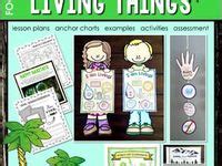 11 NATURAL SCIENCE ideas | science lessons, teaching science, science classroom