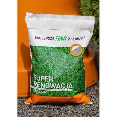 Trawa SUPER RENOWACJA mieszanka 0 5 kg Najlepsze Trawy z Iławy