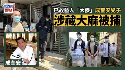 已故藝人「大傻」成奎安兒子 涉藏大麻被捕｜星島頭條新聞｜成奎安｜大傻｜大麻｜藏毒｜西貢｜南圍村 Youtube