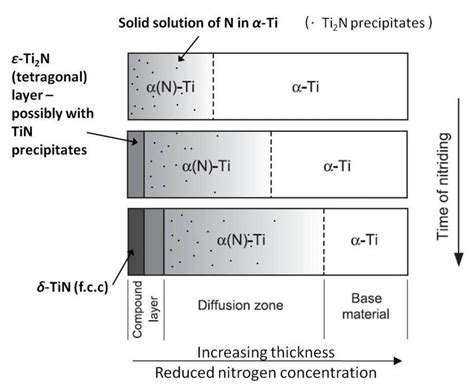 Typical Evolution Of Nitrided Layer Structure On Titanium With Download Scientific Diagram