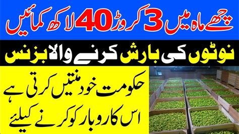 Earn 3 Cror 40 Lakh With Small Cold Storage Units New Business Ideas