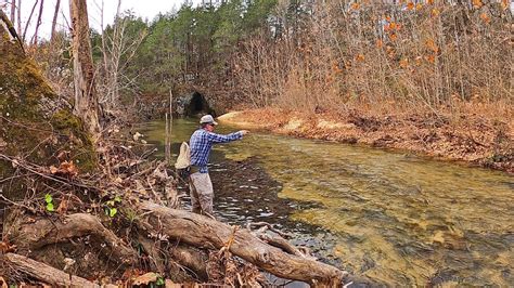 Fly Fishing 9 Wild Trout Streams MOST PEOPLE Have Never Heard Of