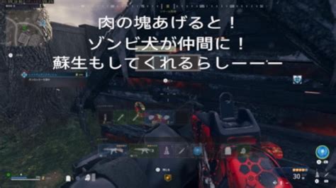 Cod Mwz🥰ゾンビ犬をひきつれてくーーーw Youtube