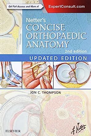 Netter S Concise Orthopaedic Anatomy Updated Edition Netter Basic