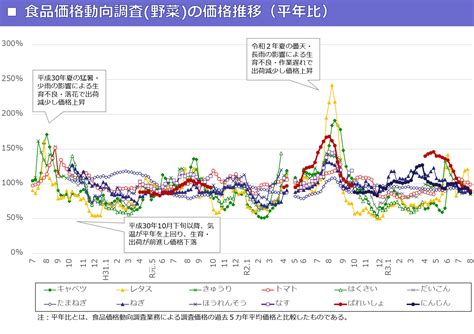 長雨・日照不足で野菜価格が上昇。加工食品も値上げ続々で苦しい家計。できる対策は？ 2021年秋 賢い投資生活｜株fx仮想通貨税ブログ